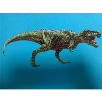 בד להדפסה עליו